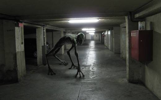 483980 (a): :1680x1050